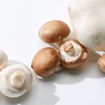 funghi-champignons